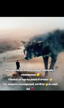 #🐺 #fyptiktok #COLȚ ALB 