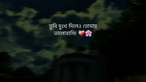 তুমি দুঃখ দিলেও তোমায় ভালোবাসি! ❤️‍🩹🌸 #fypシ #unfreezemyacount #tiktok #status #sayhan_samir_07 