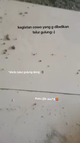 telur gulung 🗿