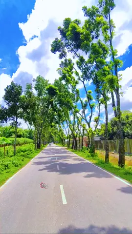 ঠাকুরগাঁও ফারাবাড়ী রোড  #thakurgaon  #viral # #foryoupage❤️❤️ 