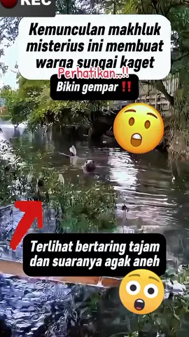 PENGEMBANGAN AKUN PEMULA #videoviral #viral #fyf#fypシ゚.........,................