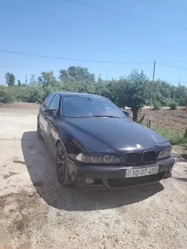 🖤455 