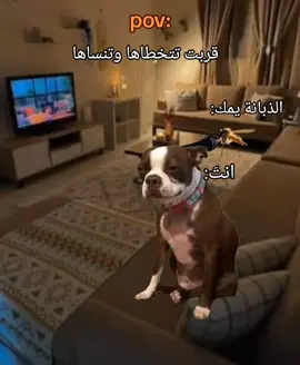 تريد تضحك؟! تابعني وتابع هاذا الحساب @M  #متابعه_لايك_تعليق#قربت#تتخطى#منشن#ميمز