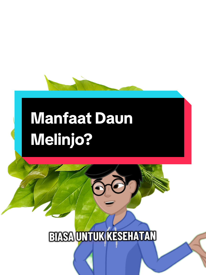 🌿 Rahasia Sehat dari Daun Melinjo! ✨ Siapa sangka daun melinjo punya segudang manfaat? ✅ Antioksidan tinggi ✅ Cegah anemia ✅ Kuatkan tulang & gigi ✅ Turunkan tekanan darah Selain sehat, bisa juga jadi sayur bening atau lalapan yang enak! 🍲🌿 #DaunMelinjo #ManfaatAlami #SehatAlami #FYP #qosehat 