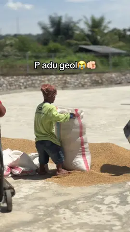 P adu geol geol #lucu_ngakak 