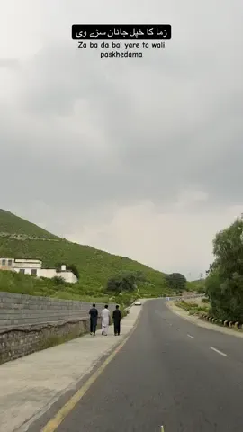 Shahikoto❤️‍🩹#foryou #foryoupage #viralvideos #exploredir #naturalist660 @Ibad-ullah roudbari @Saad khan yousafzai 