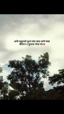 কেউ অল্পতেই ভুলে যায় আর কেউ সারাজীবনে ও ভুলতে পারে না!❤️‍🩹 #foryou #banglacaption #sadcaption #emotionalvideo #fyp 