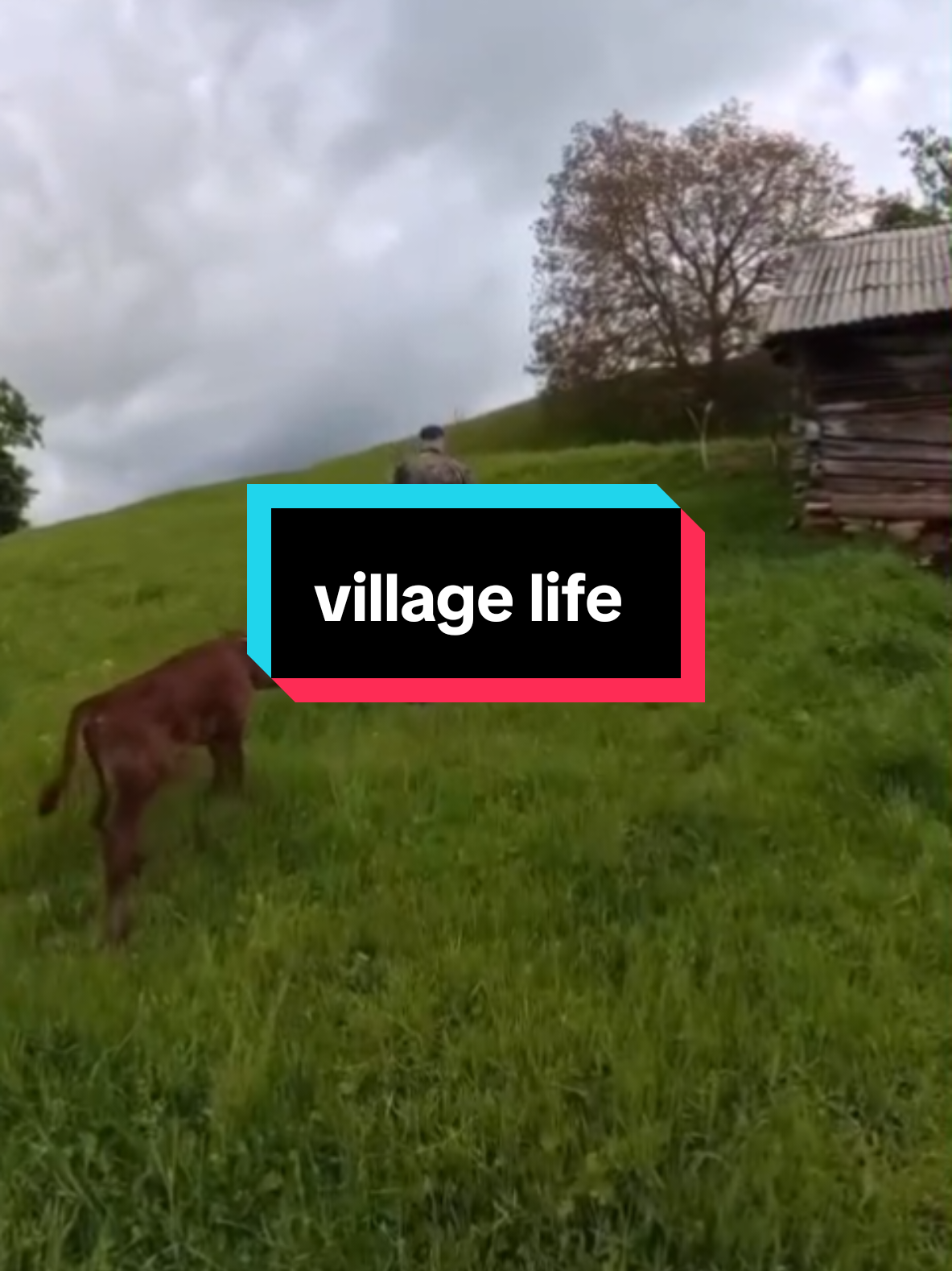 #creatorsearchinsights  #village #foryou #tranding #