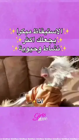 الاستيقاظ مبكرا مفيد#