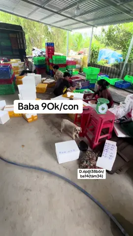 Baba ngon bá cháy! Đi đơn tận nhà từ 2con!