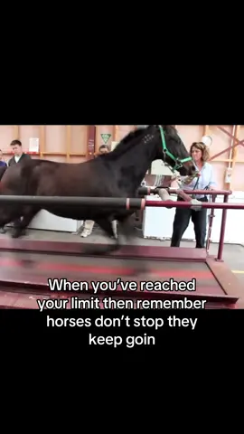 Horses don’t stop 🧐🤫 #thugga #horses #fyp #motivationalvideo #youngthug #rap #horse #viral 