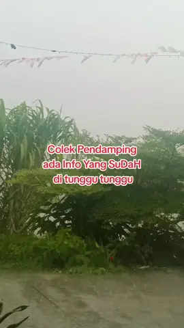 Alhamdulillah info yang di tunggu. sdm pkh SDH mulai ada Hilalnya.. semangat terus SDM PKH  #kemsosri #pkh  #pendampingpkh  #pkhhariini #pendamping 