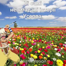 #ванпіс #onepiece #мем #чоппер #усопп 