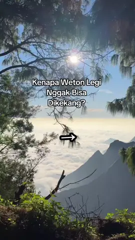 Legi itu paling cinta kebebasan.Mereka bukan takut komitmen, tapi butuh ruang untuk tetap jadi diri sendiri.Kalau kamu punya pasangan Legi, jangan coba-coba terlalu ngatur ya, nanti malah kabur...#WetonLegi #wetonmanis #lordlegi #legi #wetonlegikumpulyukk #wetonlegimerapat #wetonleginihboss #wetonjawa #wetonjowo #viralhariini #fyp 