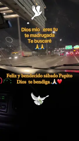 Papito Dios guía mi camino 🧎🏼‍♀️‍➡️🙏🏻✝️🤗