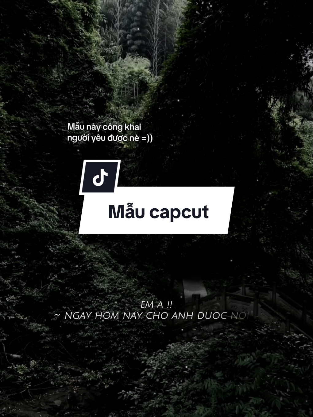 #CapCut Em à ngày hôm nay cho anh được nói #hidengne #nhachaymoingay #trumview #mauhaymoingay #daisucctt 