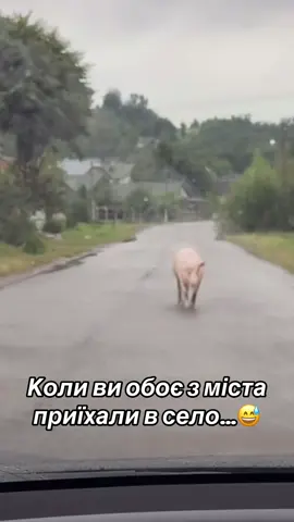 Коли ви обоє з міста приїхали в село…