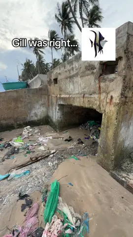 All drains lead to the ocean. Do your part to keep our waterways clean to avoid plastic pollution from entering the sea! #plasticpollution #marinedebris #ocean #sea #plasticwaste #wastemanagement 