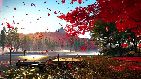 🍁 