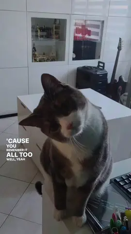#lyrics 