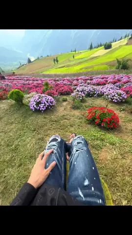 Vd cuối về thảo nguyên suôi thầu cho ace ngắm đây🥰#xinman #hagiang #xhtiktok #xhhhhhhhhhhhhhhhhhhhhhhh #xuhuongtiktok 