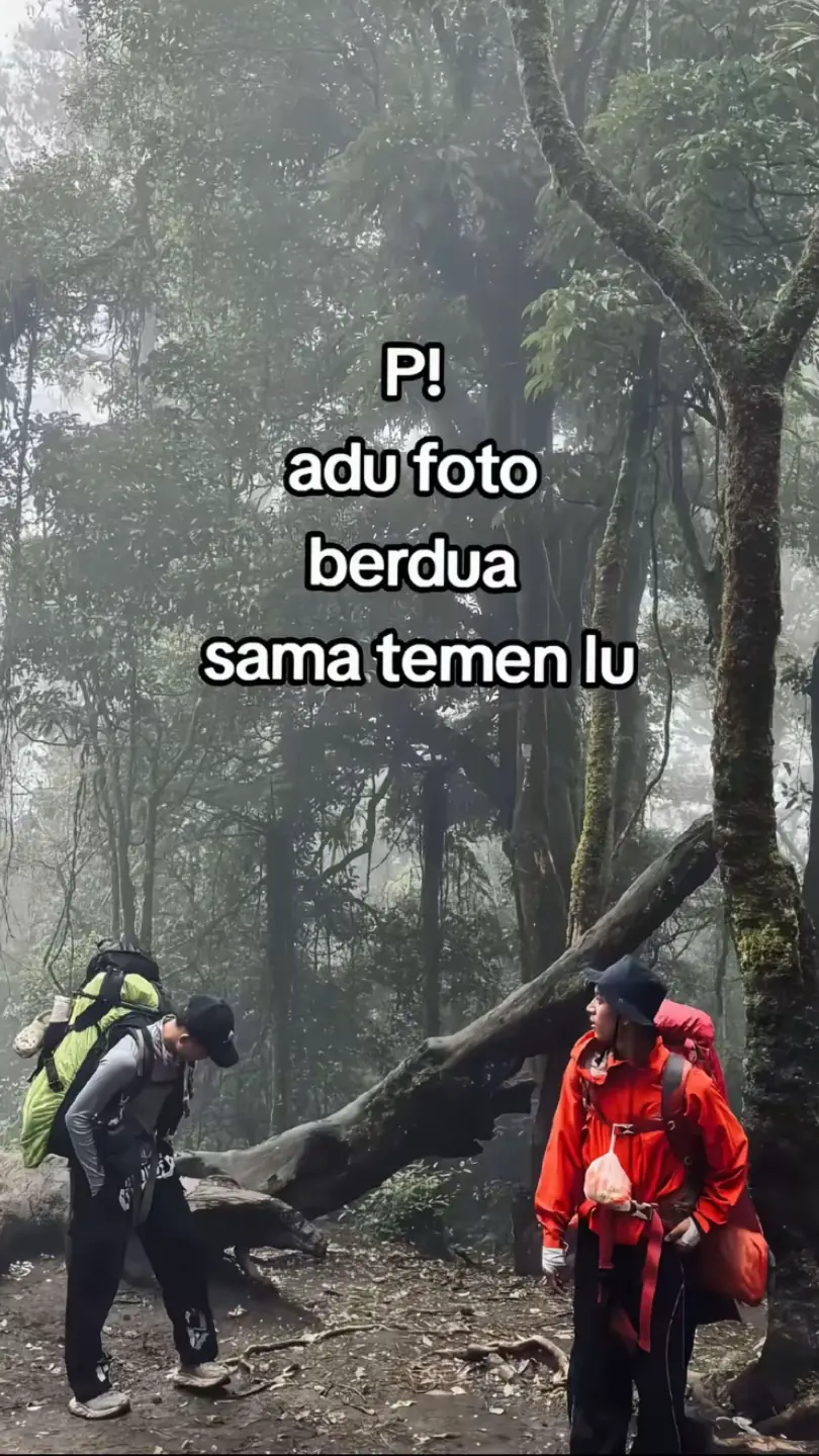 Bersama orang fomo😌🦥 #fyp #pendakigunung #fomo #merbabu #tektokgunung #merbabuviathekelan 