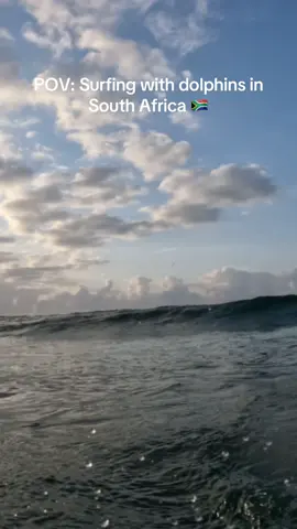 POV: Surfing with dolphins on the East Coast of South Africa 🇿🇦 This was the first of many interactions throughout the surf.  . . . . . #dolphins #surfing #southafrica  #pov 