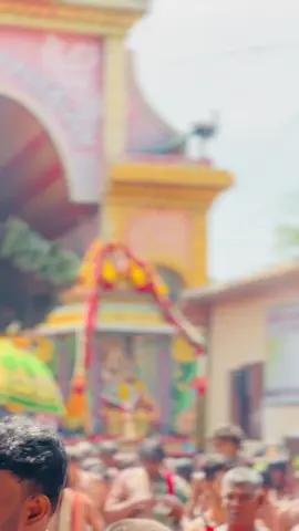 சந்நிதியான் #jkrabi #jkrabi28 #jkrabi2818 #muruga #nallur 
