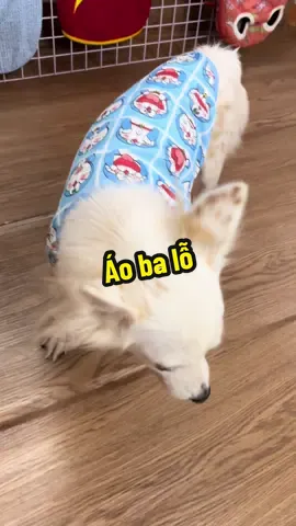 Áo ba lỗ mát mẻ đáng yêu #xuhuong #muasamtructuyenasia #aochomeo #aomeo #aothucung #dog #chomeo #thucung 