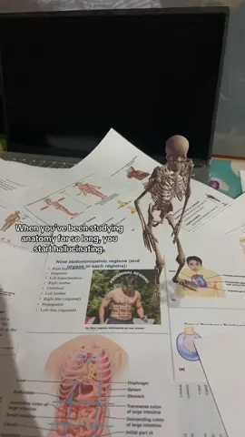 😭😵‍💫 #anatomy #nursingstudent 