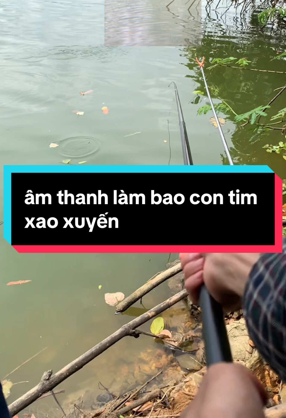 âm thanh làm bao con tim xao xuyến 😍😍#caucagiaitri #fshing #caudai #dcgr #dcgr #mồi #huynhcongquyenna 