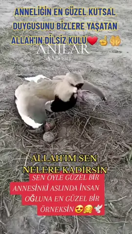 #anılar 