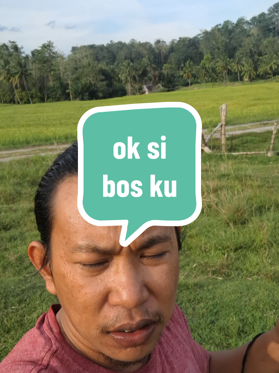tes tes pitu pitu baru . . . . . . . . . #pitupitubugis #layangan #trending #bugissulawesi #ifhuljamil 