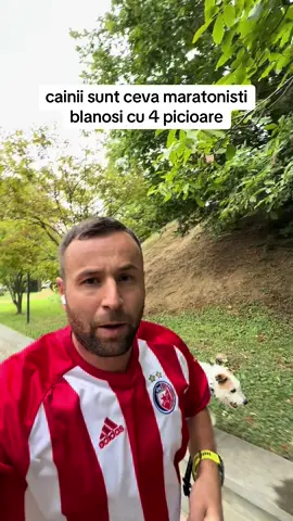 cainii sunt ceva maratonisti blanosi cu 4 picioare  #alergare #Running #invatapetiktok #antrenor #atletism 