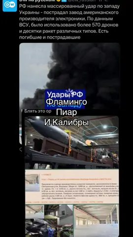 #фламинго #россия 