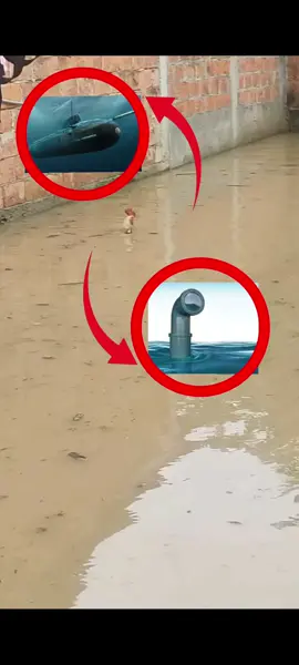 submarine chicken  #submarine #chicken #dayummm #memestiktok #fyp 