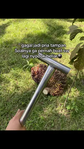 #kulisawit #sawitontiktok #sawitsumatra #katakata #anakpetanisawit #anakpetaniii #petanimuda #foryoupage #fypシ゚ #masukberandagak 