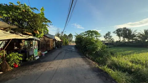 Bình Chánh chill nè anh em 🥰🤭 #xuhuongtiktok #videocảnhđẹpchill #bìnhchánh #chill #fyp 