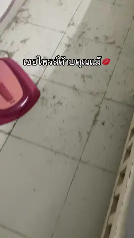 ฮึบนะแม่ #สัตว์เลี้ยงtiktok #ทาสแมว #แมวเปรต #แมววิเชียรมาศ 