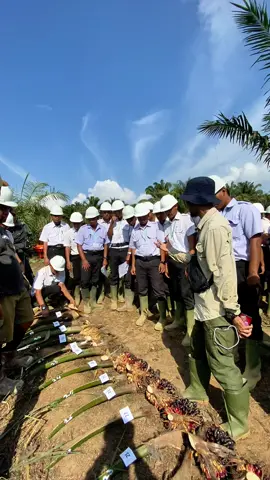 #fyp #sawit #f #sawitontiktok #sawitkalimantan 
