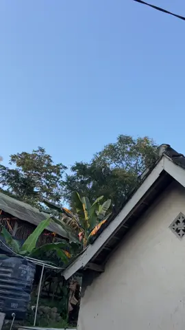 Awawaww 🤩🤙