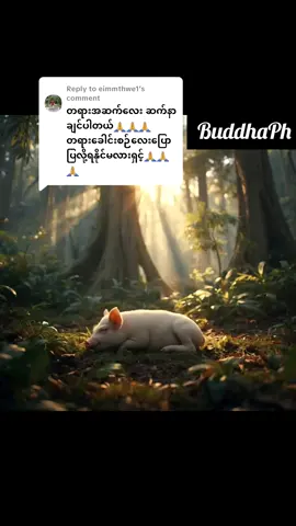 Replying to @eimmthwe1 ပိုက်ဆံမကုန်ပဲမိမိဘဝကိုပြောင်းလဲစေမည့်တစ်မိနစ်စာဗုဒ္ဓရဲ့တရားလေးကိုမျှဝေခြင်းပါ🙏🙏🙏Original AI video created 100% by me:  Leonardo AI (prompted)  PixVerse   InShot (edit)#AIgeneratedByMe #OriginalBuddhistStory #BuddhaWisdomCreation #LeonardoAI #pixverse_ai_video_edit 