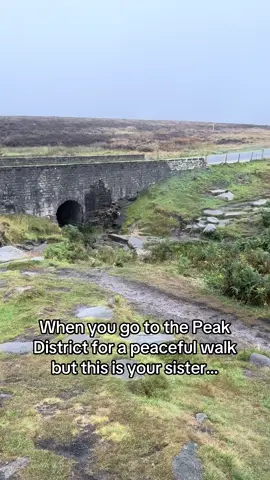 🙃🙃🙃 @Roxy #pottymouth #peakdistrict #funny #dogwalks #dogsoftiktok