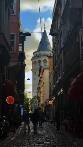 ᥫ᭡. ·