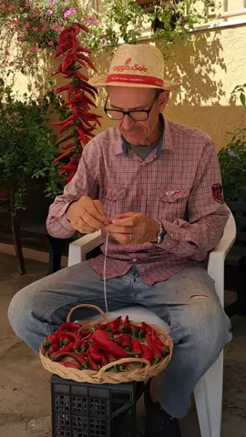 Vecchie tradizioni infilata di peperoni #fyp #agricultura🚜🌱 #bucchianico 