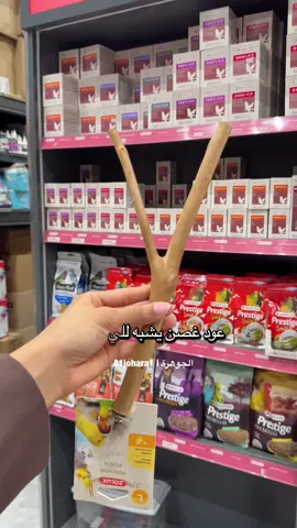 #مقاضي #الكروان #كوكتيل #طيور #ببغاء 