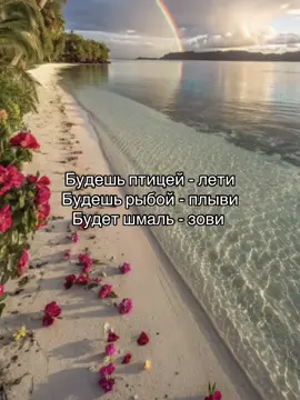 #щп  