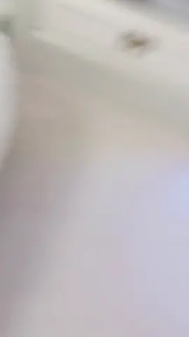 #😍🥰🥰🥰♥️♥️♥️♥️♥️♥️♥️♥️ 