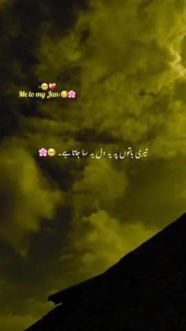 میں جو تیرے نام پر 🥹❤️‍🩹#aesthetic #poetry #poetrystatus #grow #account 