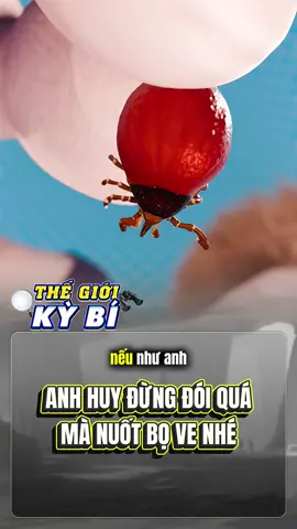 Nhắc nhở anh Huy nhé #thegioikybi #fyp #fypage #dongvat #animals 